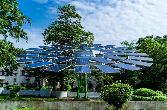 Tata solar tree